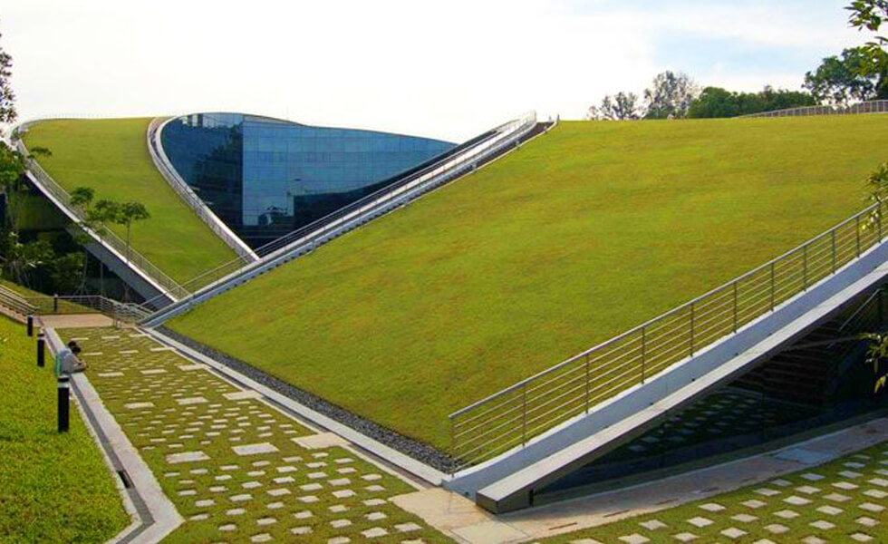 nanyang-green-roof-lead-1.jpg
