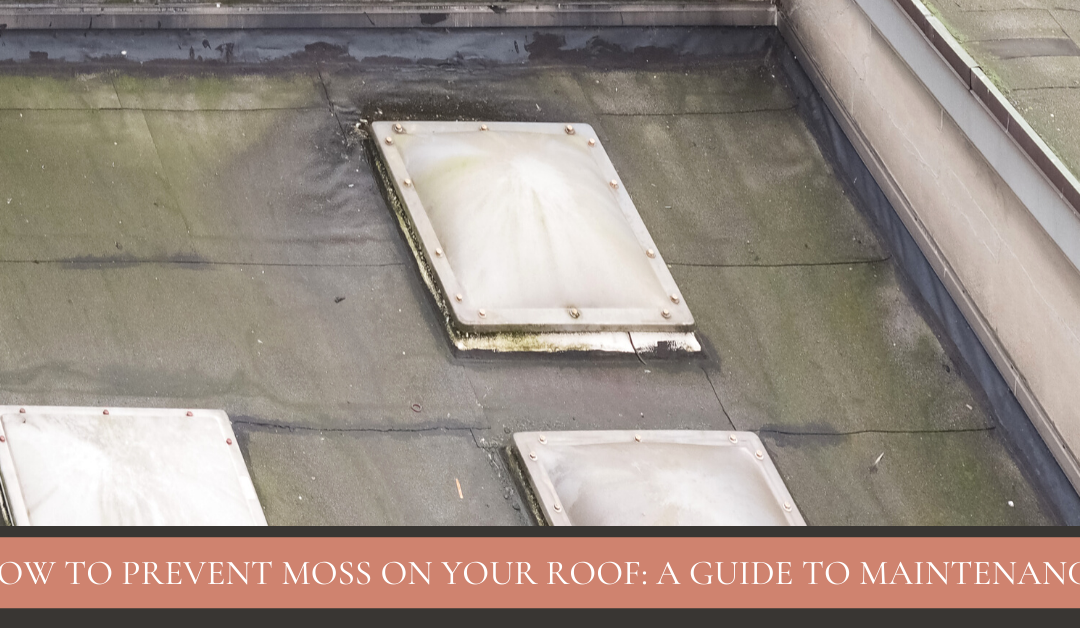 How to Prevent Moss on your Roof: A Guide to Maintenance