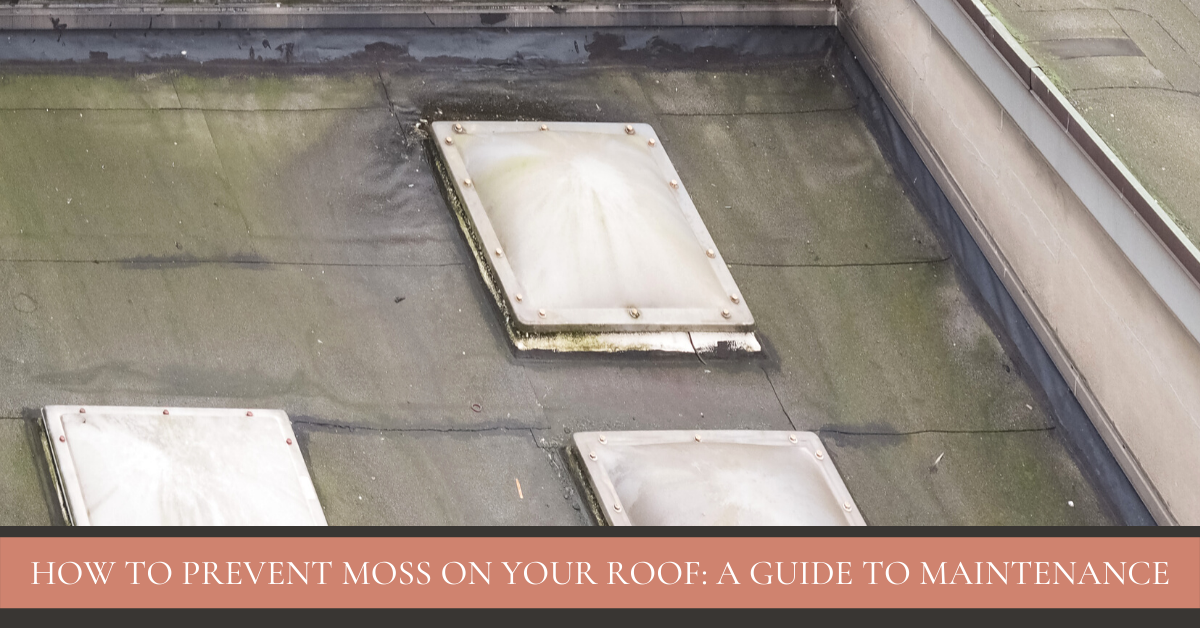How to Prevent Moss on your Roof: A Guide to Maintenance