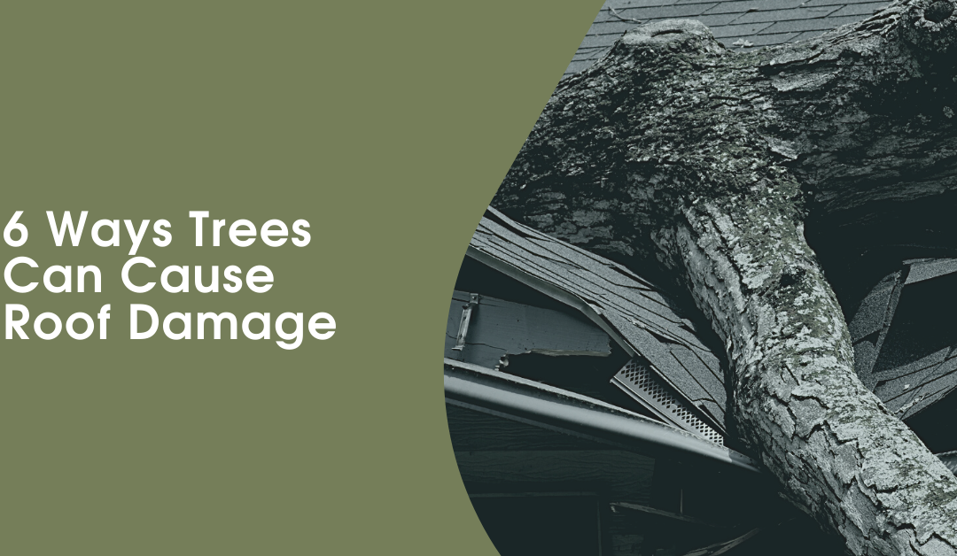 6 Ways Trees Can Cause Roof Damage